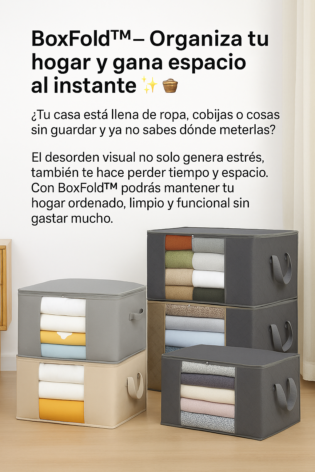 Organizador de ropa BoxFold™  5 x 1