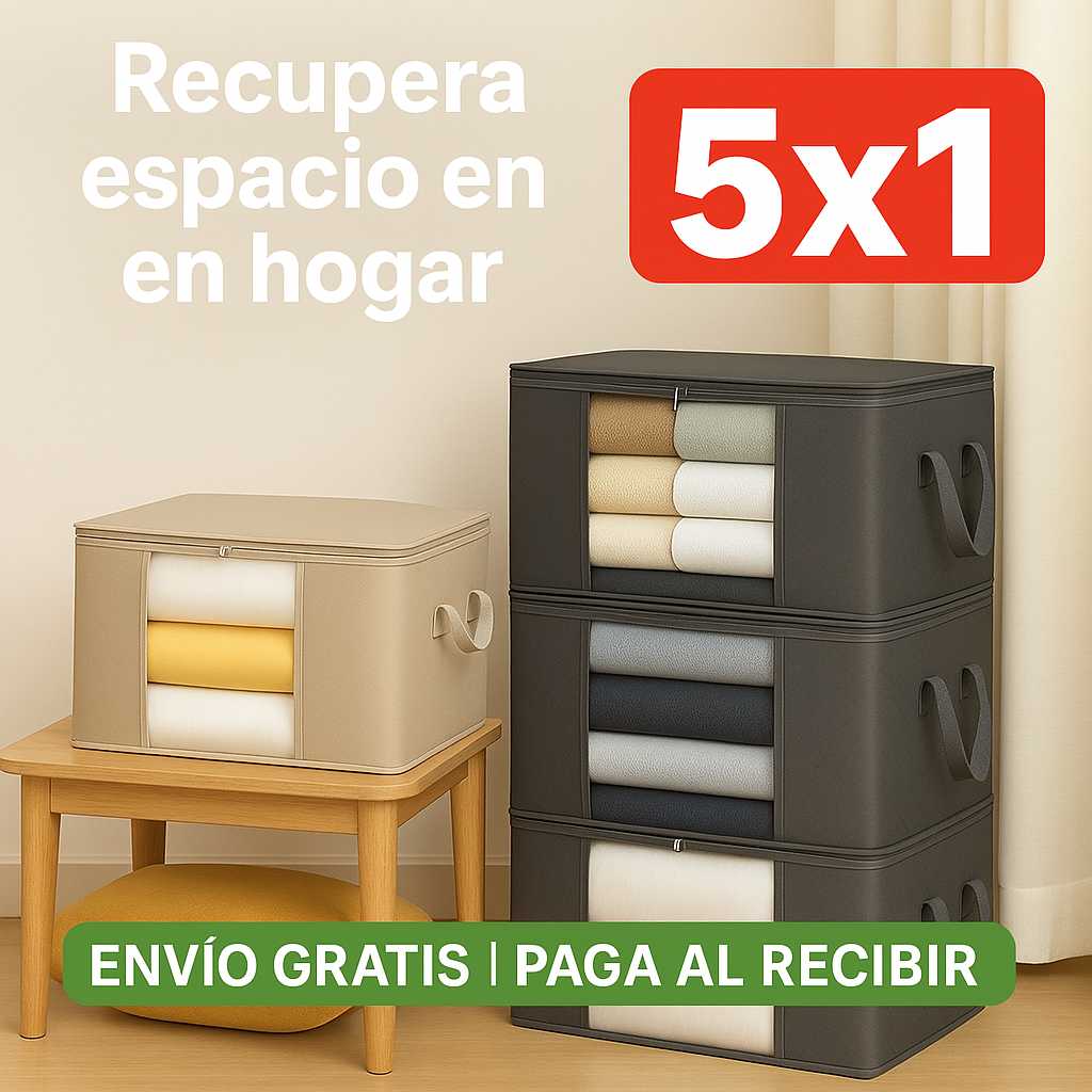 Organizador de ropa BoxFold™  5 x 1
