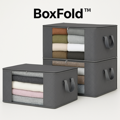 Organizador de ropa BoxFold™  5x1